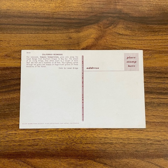 Vintage Postcard Lot 1950s California Giant Redwoods Sequoia Sempervirens Avenue - Picture 9 of 9